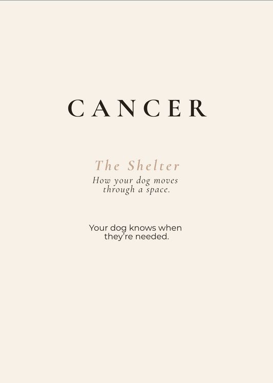Cancer Archetype Set - The Shelter