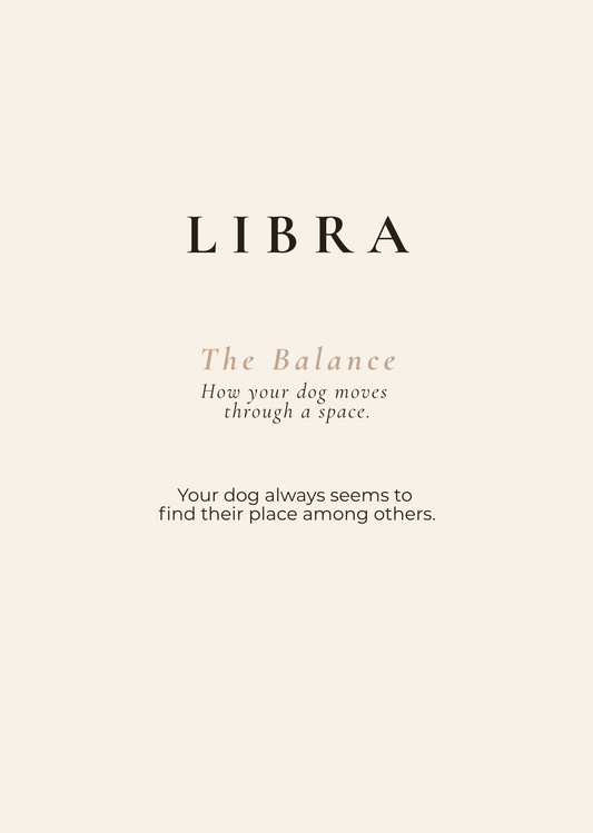 Libra Archetype Set - The Balance