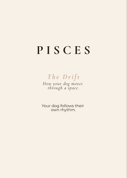 Pisces Archetype Set - The Drift