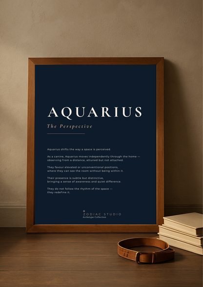 AQUARIUS - The Perspective