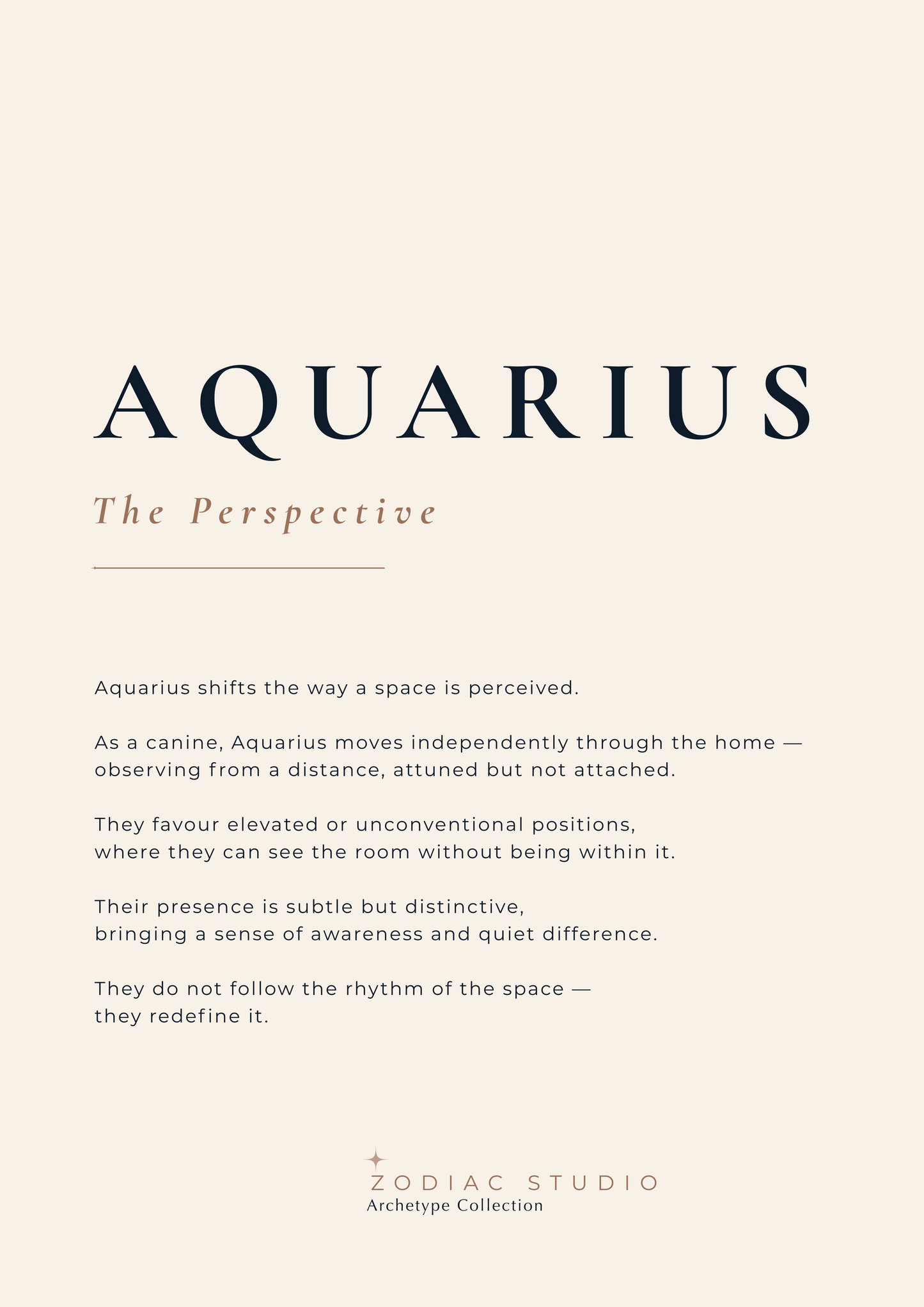 AQUARIUS - The Perspective