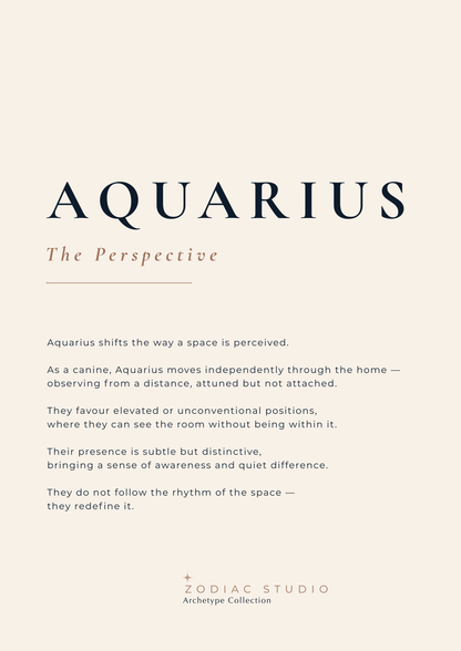 AQUARIUS - The Perspective