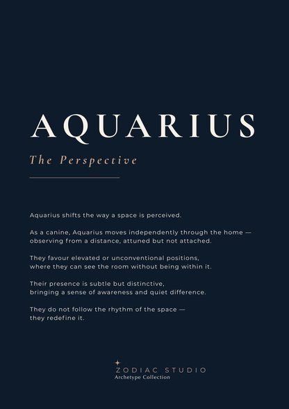 AQUARIUS - The Perspective