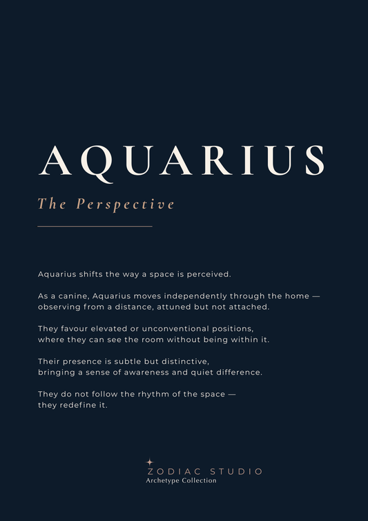 AQUARIUS - The Perspective