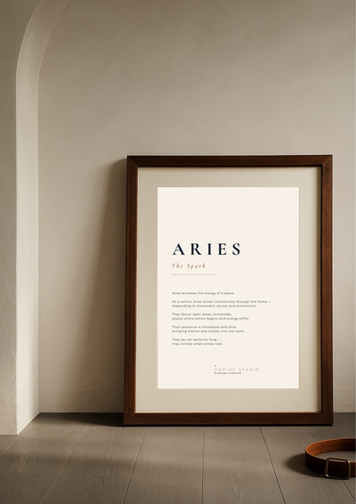 ARIES - The Spark
