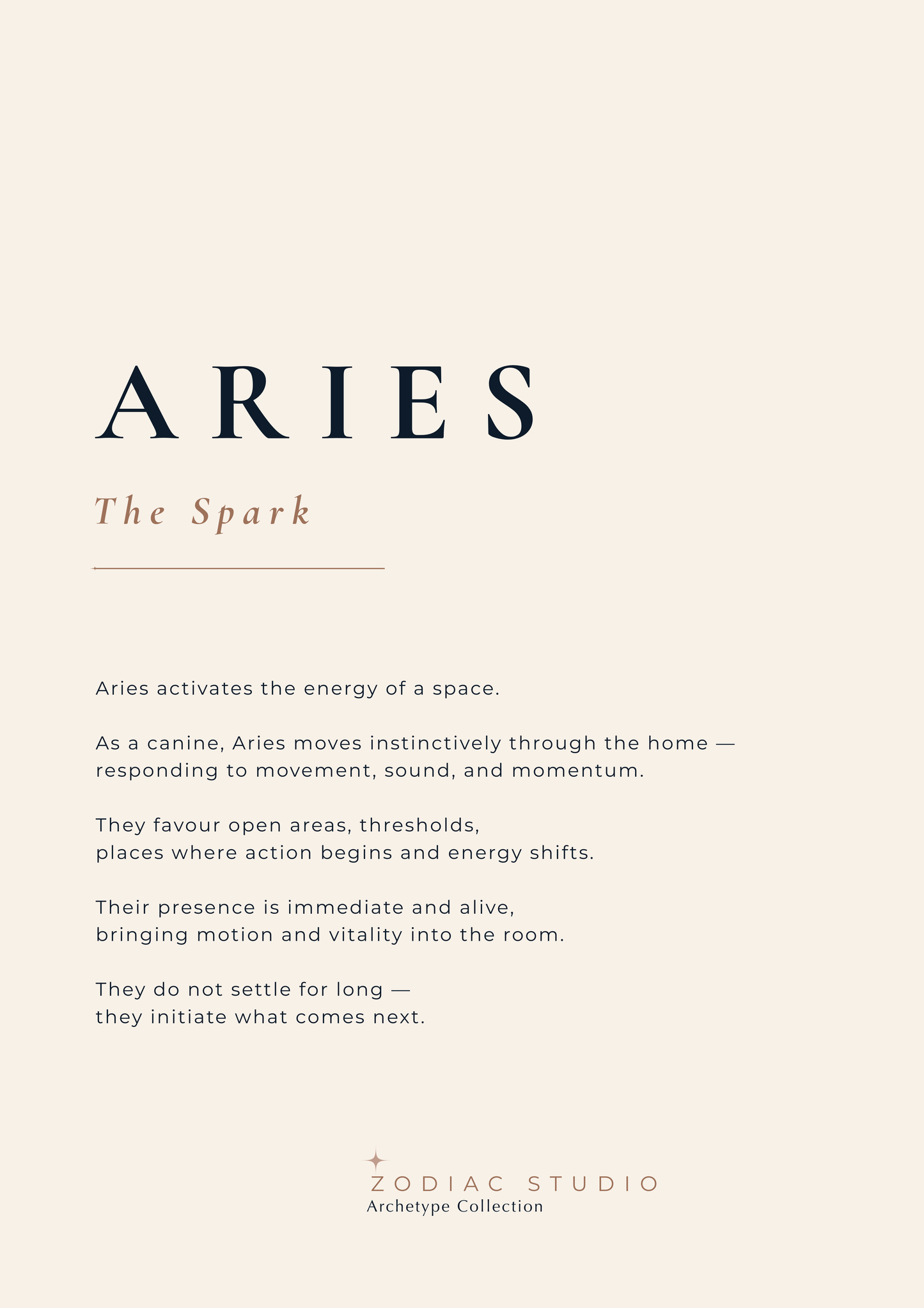 ARIES - The Spark