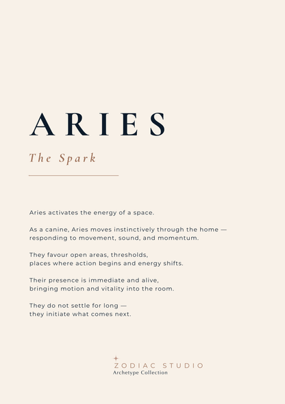 ARIES - The Spark
