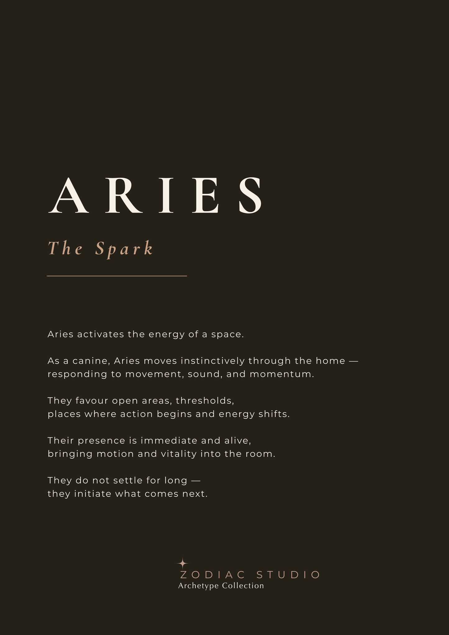 ARIES - The Spark