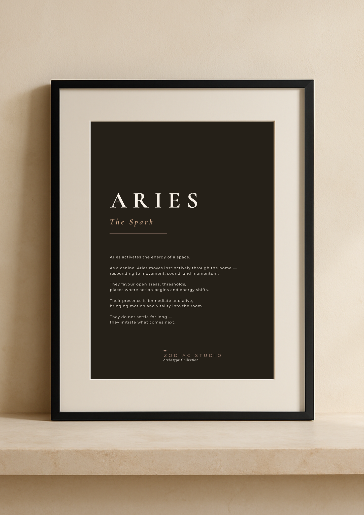 ARIES - The Spark
