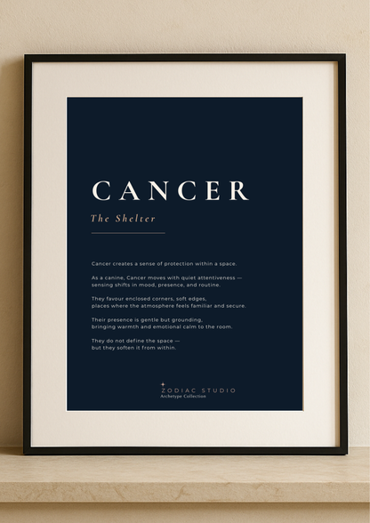 CANCER  - The Shelter