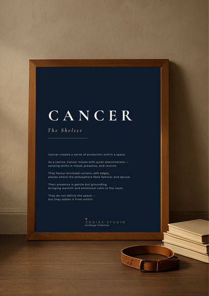CANCER  - The Shelter