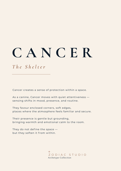 CANCER  - The Shelter