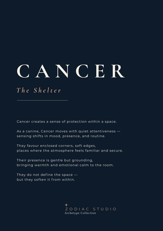 CANCER  - The Shelter