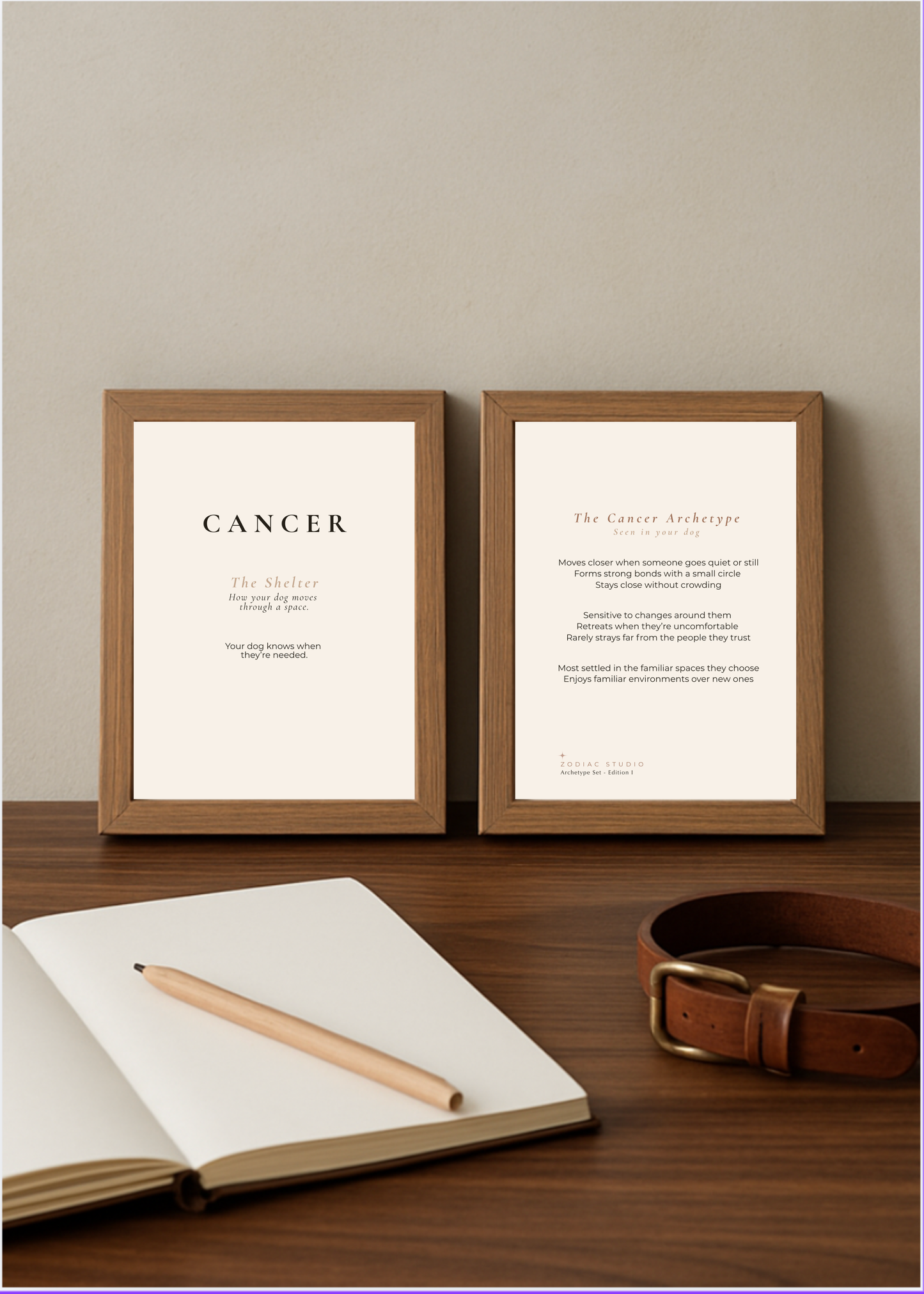 Cancer Archetype Set - The Shelter