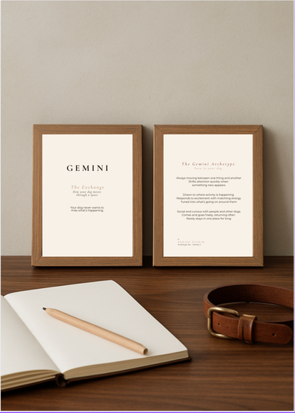 Gemini Archetype Set - The Exchange