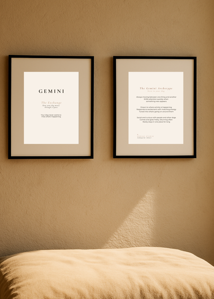 Gemini Archetype Set - The Exchange