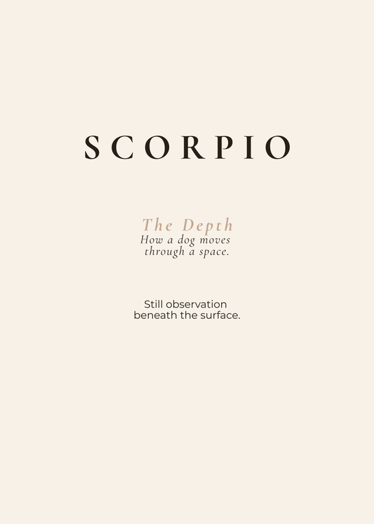 Scorpio Archetype Set - The Depth