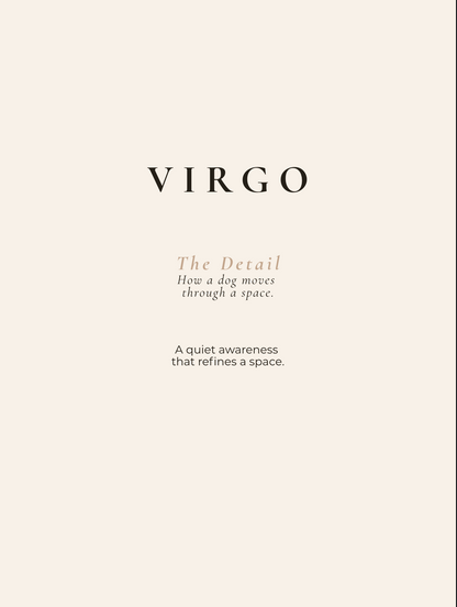 Virgo Archetype Set - The Order
