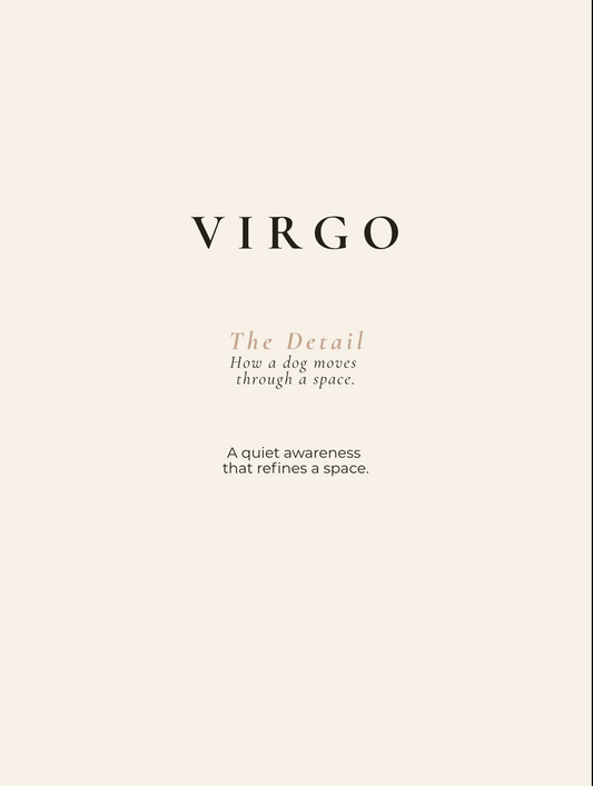 Virgo Archetype Set - The Order