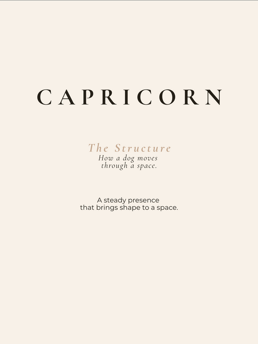 Capricorn Archetype Set - The Structure