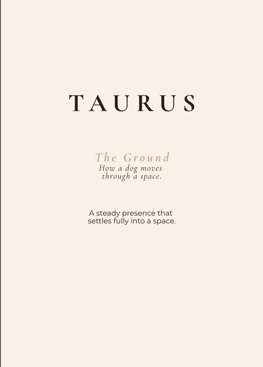 Taurus Archetype Set - The Ground