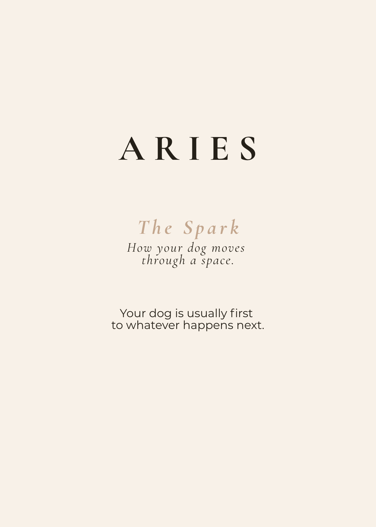 Aries Archetype Set - The Spark