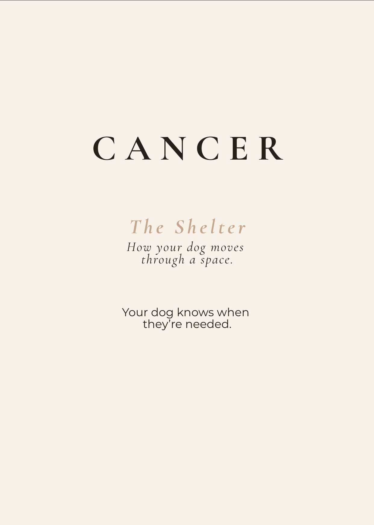 Cancer Archetype Set - The Shelter