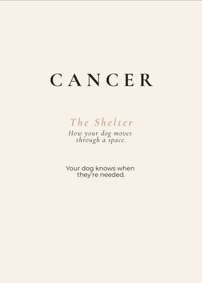 Cancer Archetype Set - The Shelter