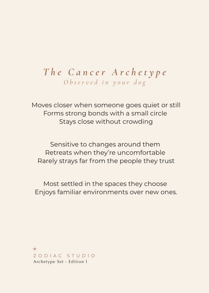 Cancer Archetype Set - The Shelter