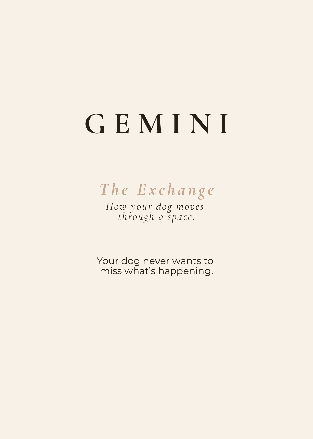 Gemini Archetype Set - The Exchange
