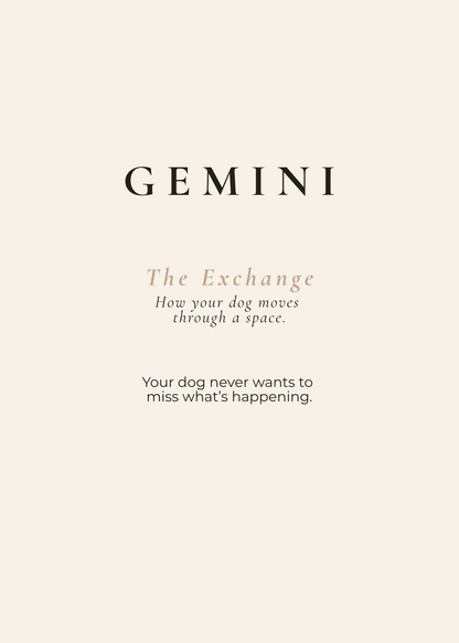 Gemini Archetype Set - The Exchange