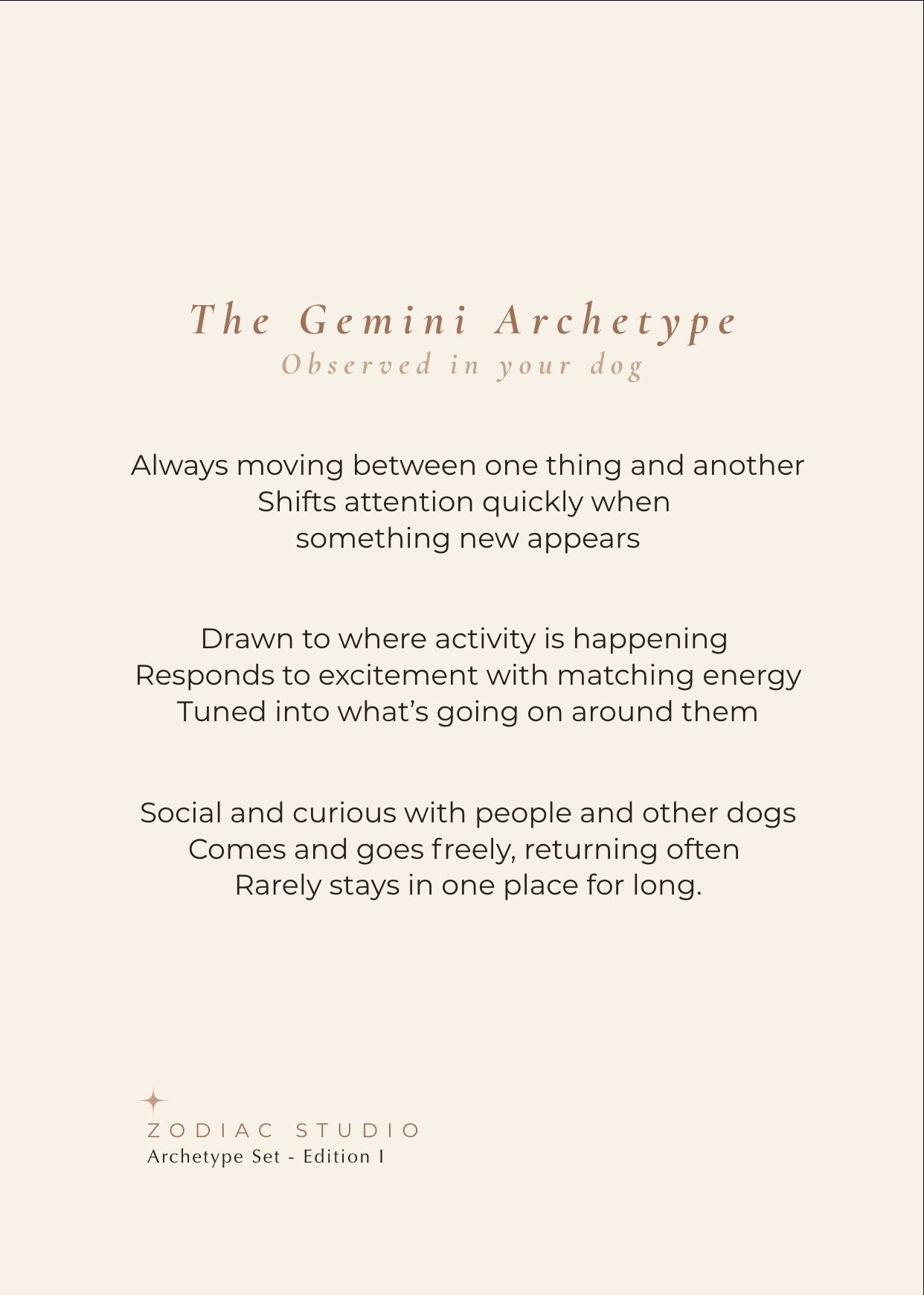 Gemini Archetype Set - The Exchange