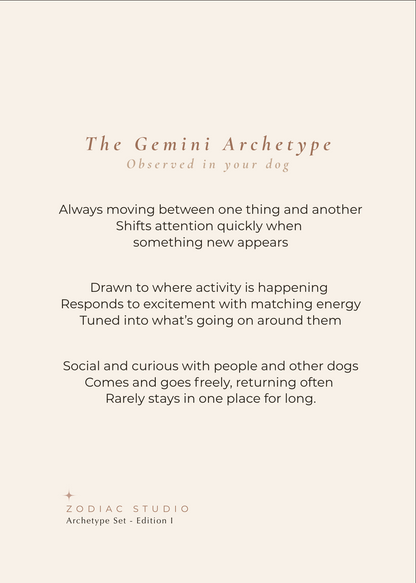 Gemini Archetype Set - The Exchange