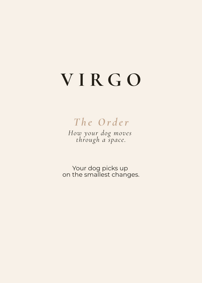 Virgo Archetype Set - The Order