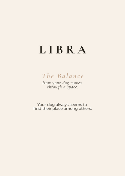 Libra  Archetype Set - The Balance