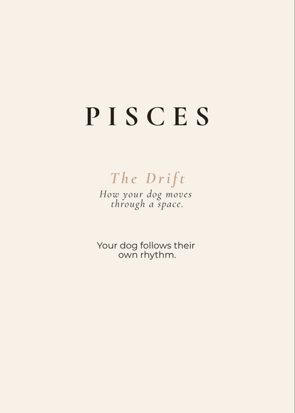 Pisces Archetype Set - The Drift