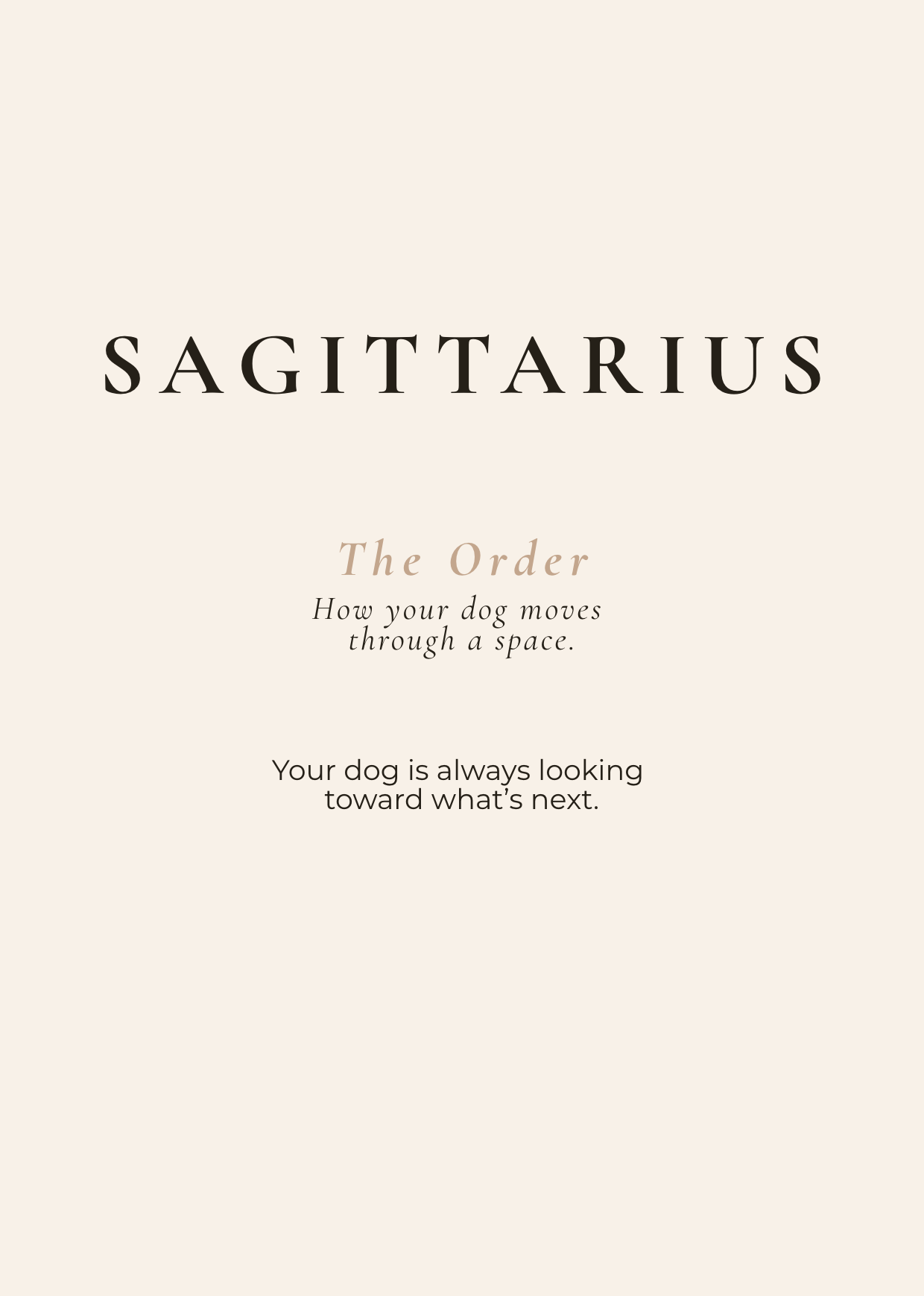 Sagittarius Archetype Set - The Horizon