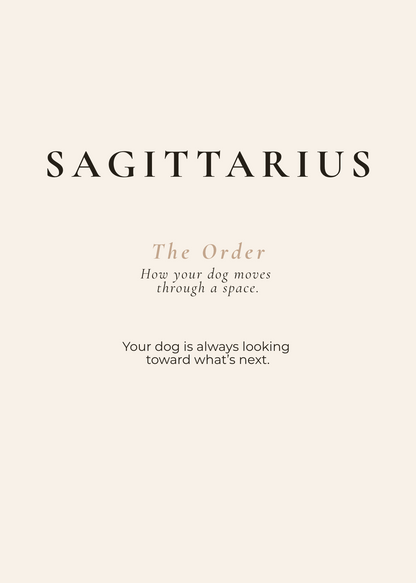 Sagittarius Archetype Set - The Horizon