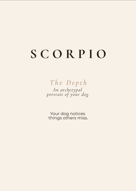 Scorpio Archetype Set - The Depth