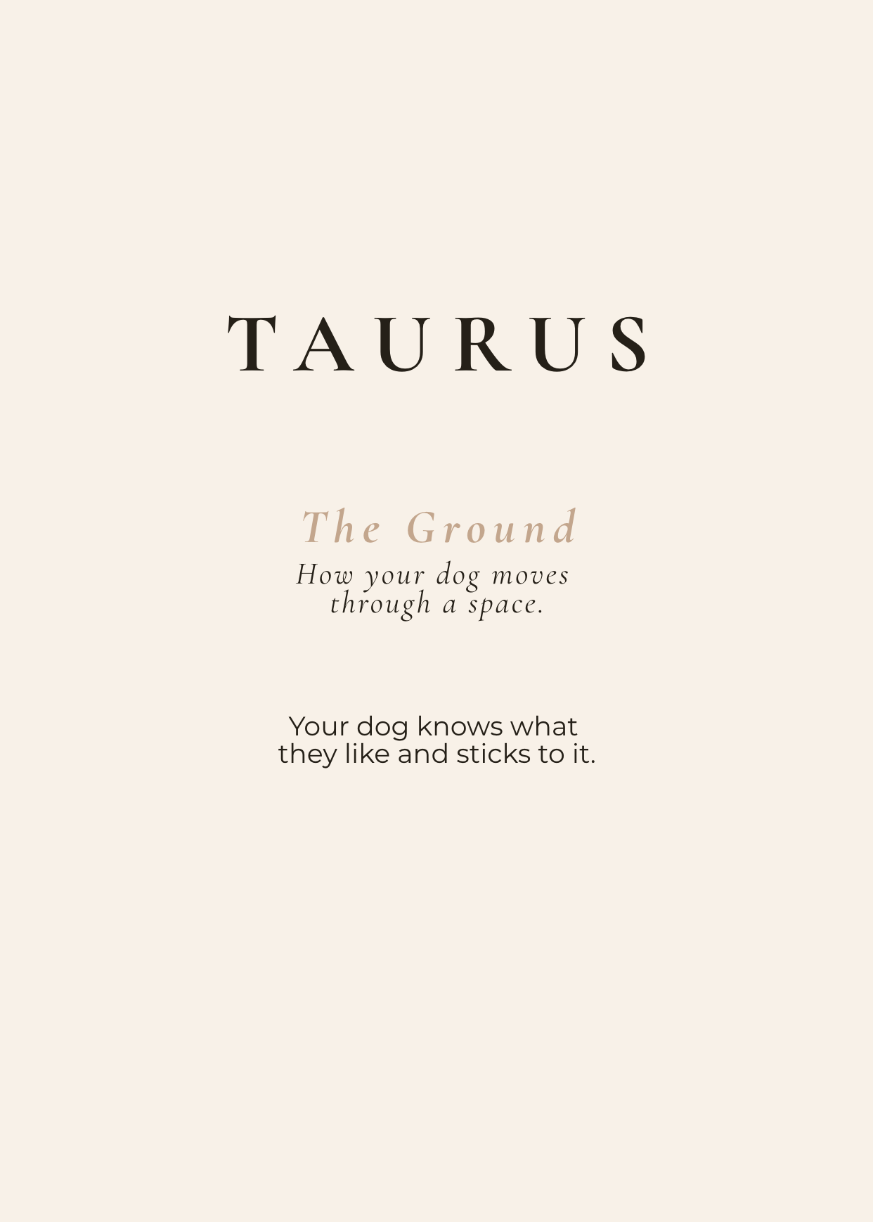 Taurus Archetype Set - The Ground