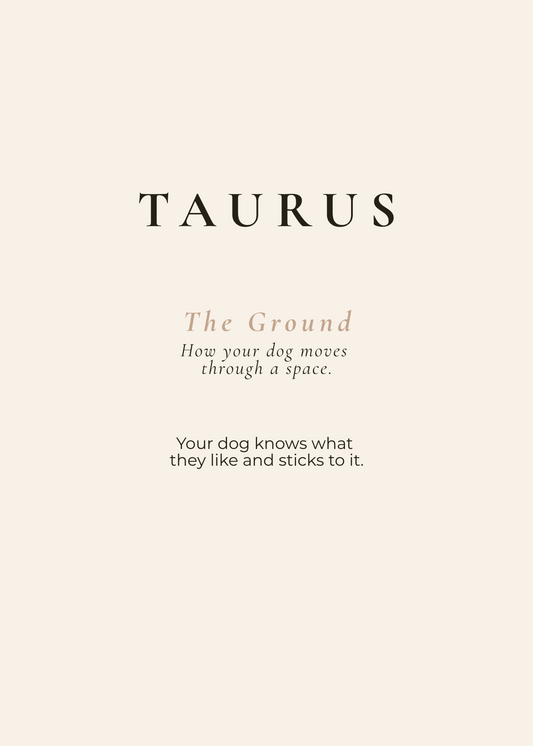 Taurus Archetype Set - The Ground