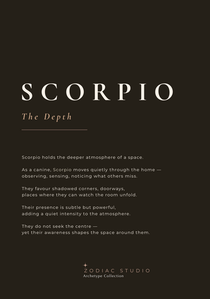 Scorpio zodiac print in Espresso
