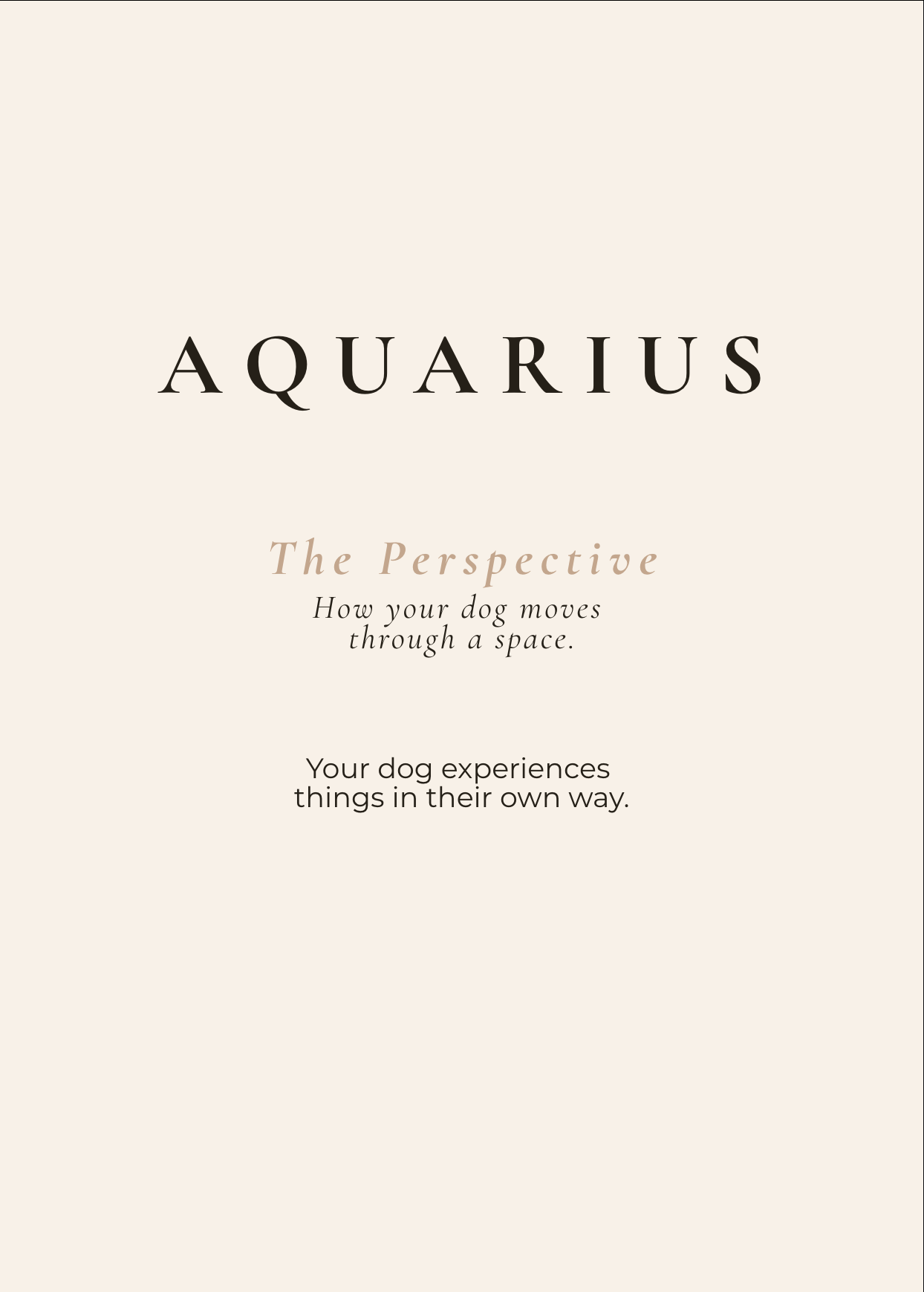 Aquarius Archetype Set - The Perspective