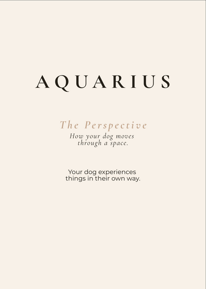 Aquarius Archetype Set - The Perspective