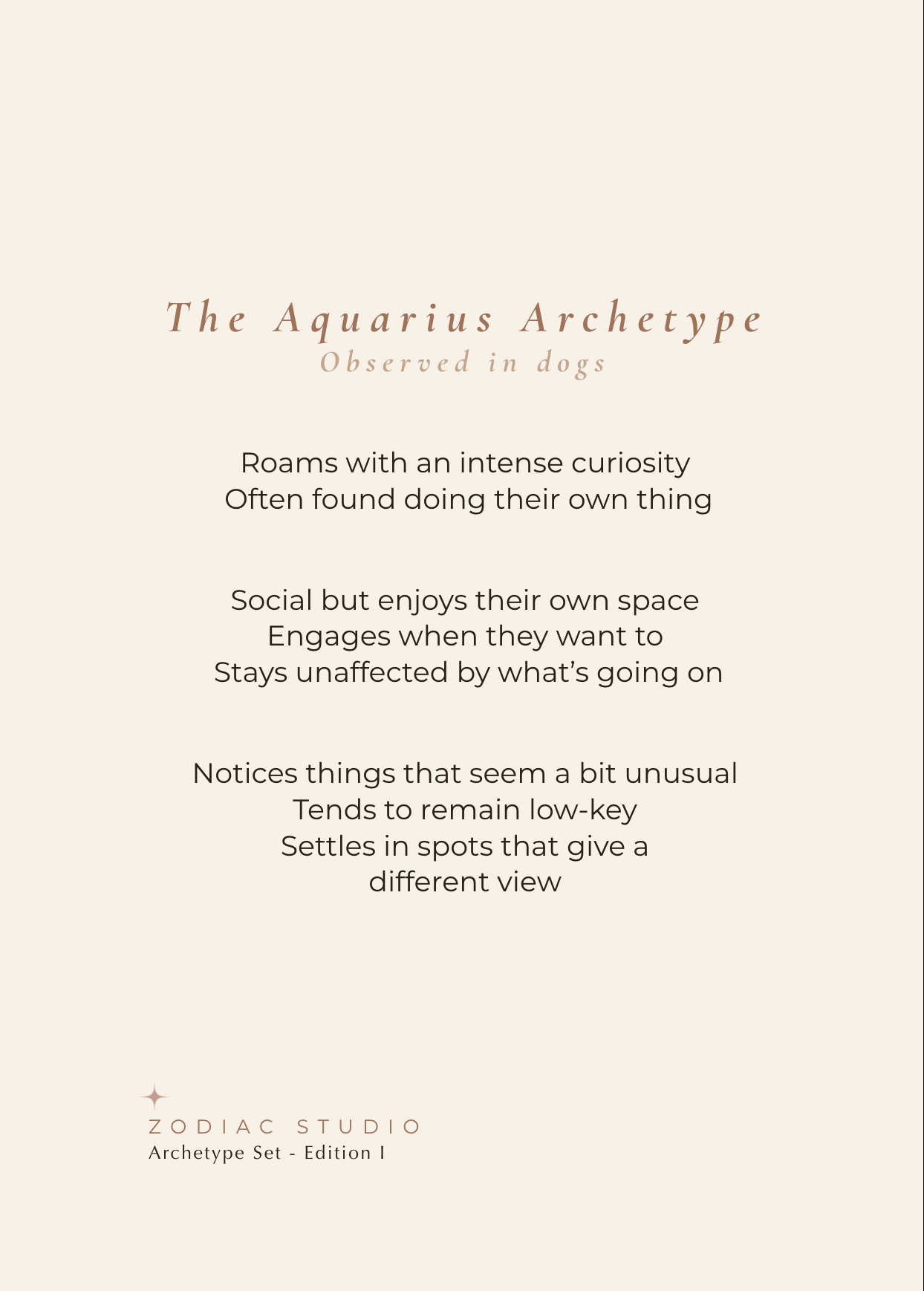 Aquarius Archetype Set - The Perspective
