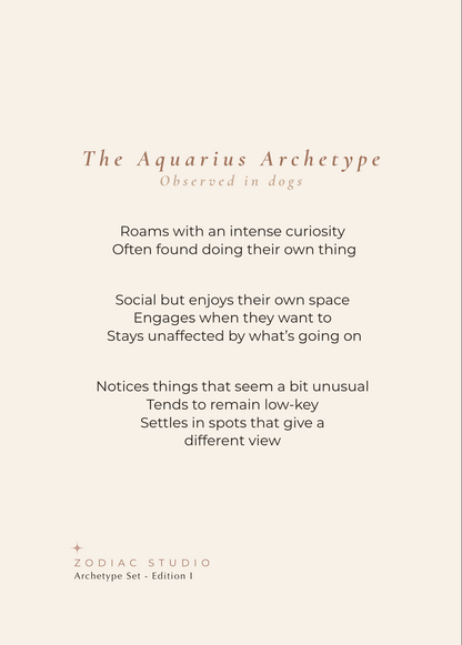 Aquarius Archetype Set - The Perspective