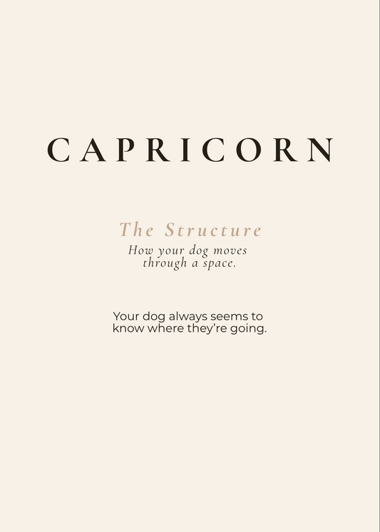 Capricorn Archetype Set - The Structure