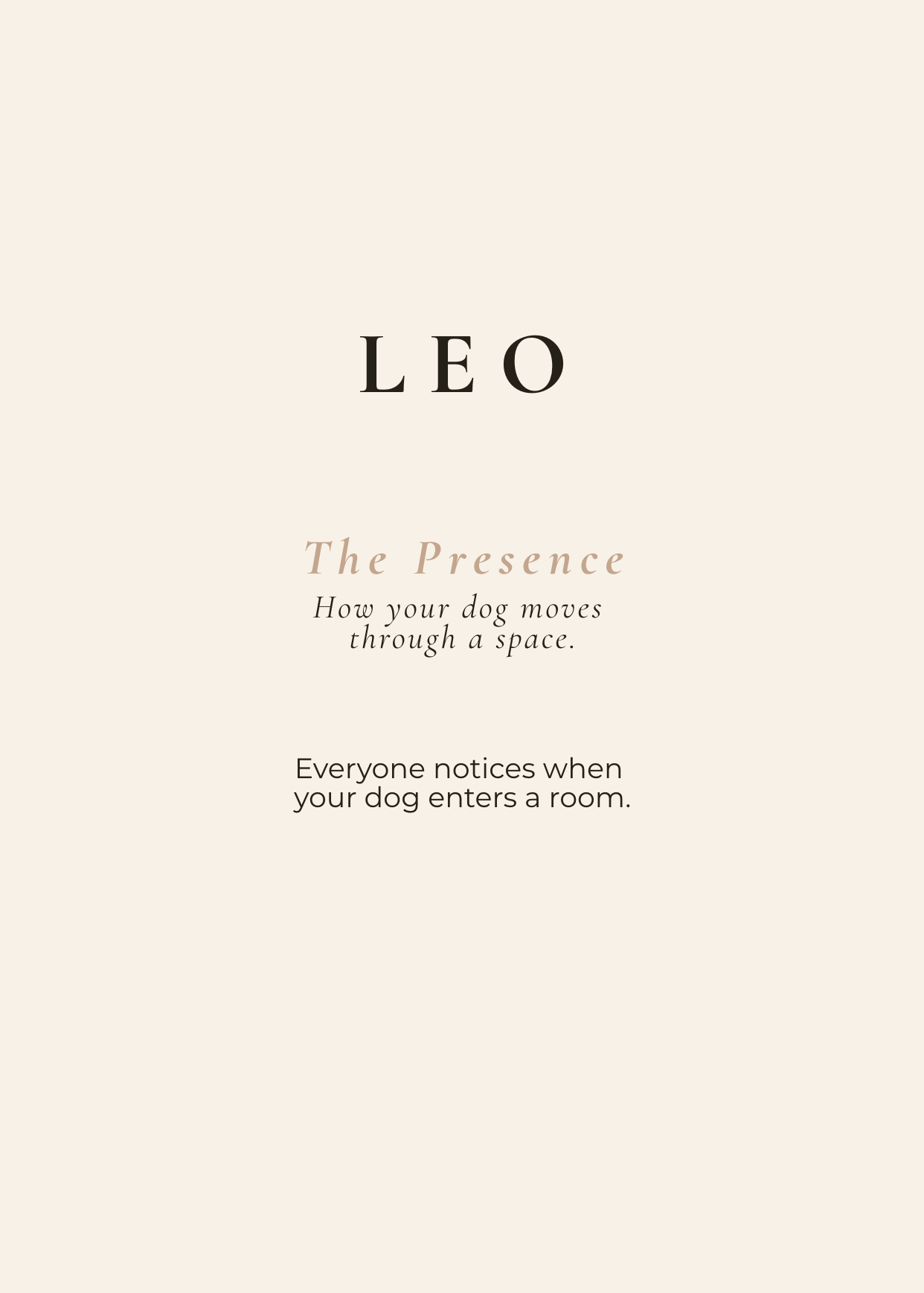 Leo Archetype Set - The Presence