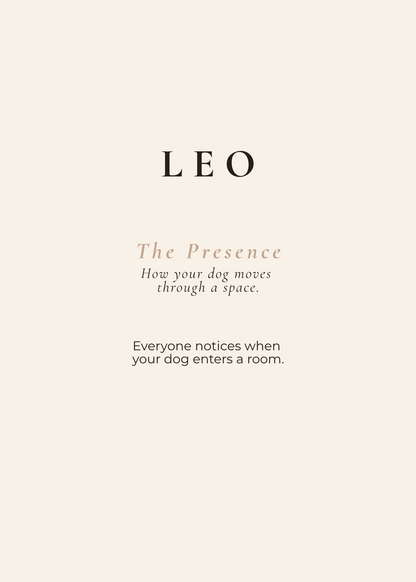 Leo Archetype Set - The Presence