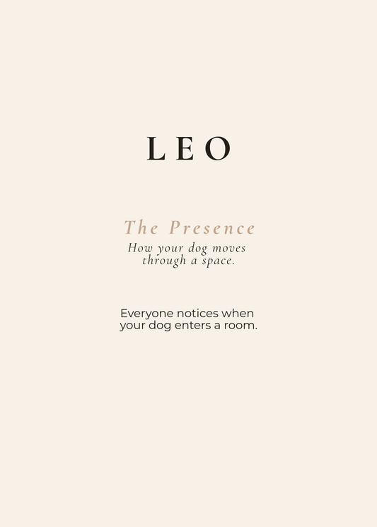 Leo Archetype Set - The Presence